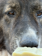Load image into Gallery viewer, That Dog Can Hunt Dog Soap
