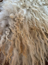 Load image into Gallery viewer, Icelandic Sheep Hide | Winter Dawn LRF1
